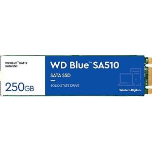WD Blue SA510 SATA 250 GB M.2
