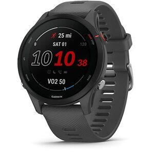 Garmin Forerunner 255 Slate Grey