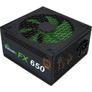 EVOLVEO FX 650