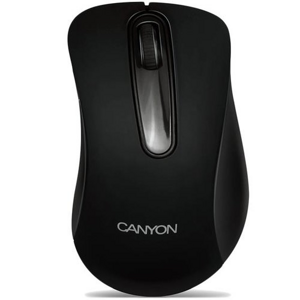 Canyon CNE-CMS2