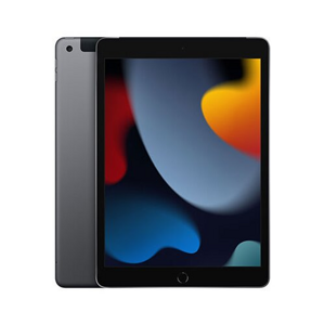iPad 10.2" Wi-Fi + Cellular 256GB Kozmický sivý (9. gen.)