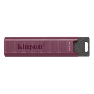 Kingston DataTraveler Max/256GB/1000MBps/USB 3.2